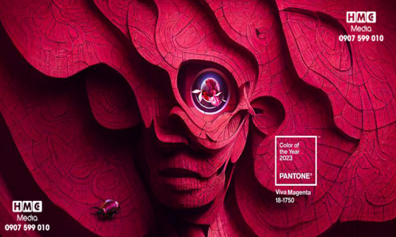 ĐỎ TÍM - SẮC MÀU CHỦ ĐẠO NĂM 2023